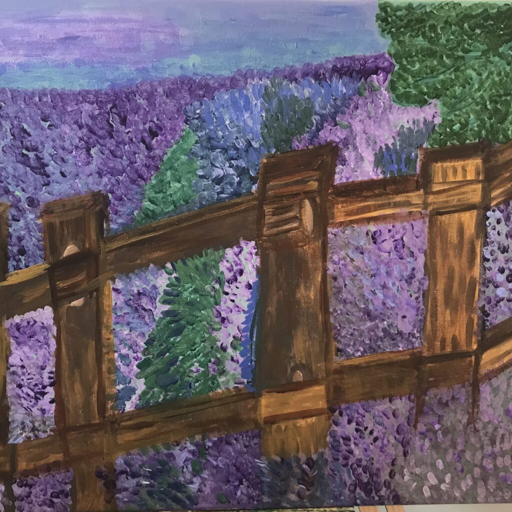 Campo de alfazema, Campo de lavanda