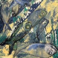 Fish foal I | Cardume de peixes I